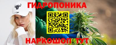 ПСИЛОЦИБИНОВЫЕ ГРИБЫ Кинель
